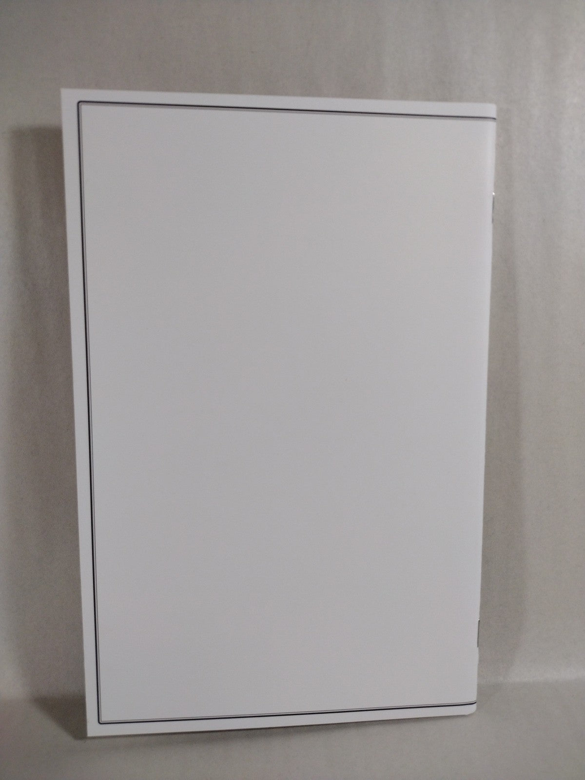 Curse Words #1 Image Comic Blind Box 25th Anniversary Blank Cover Variant NM