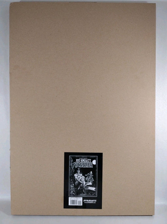 Jose Gonzalez VAMPIRELLA Art Edition Large 21x15" Dynamite HC New W Carton