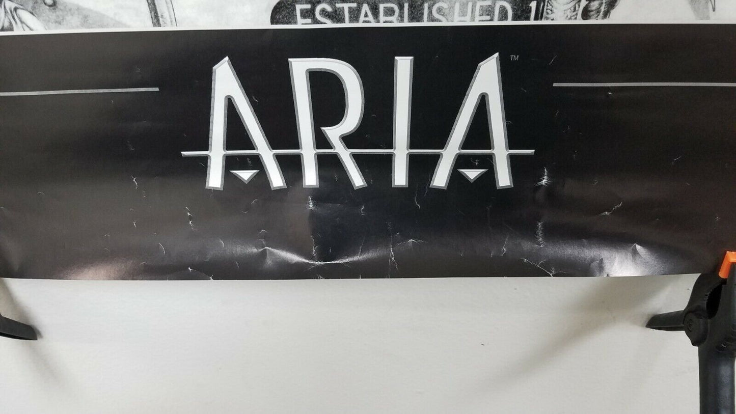 Aria (1999) Image Comic Poster Art 36 x 24" Black & White Brian Haberlin Holquin