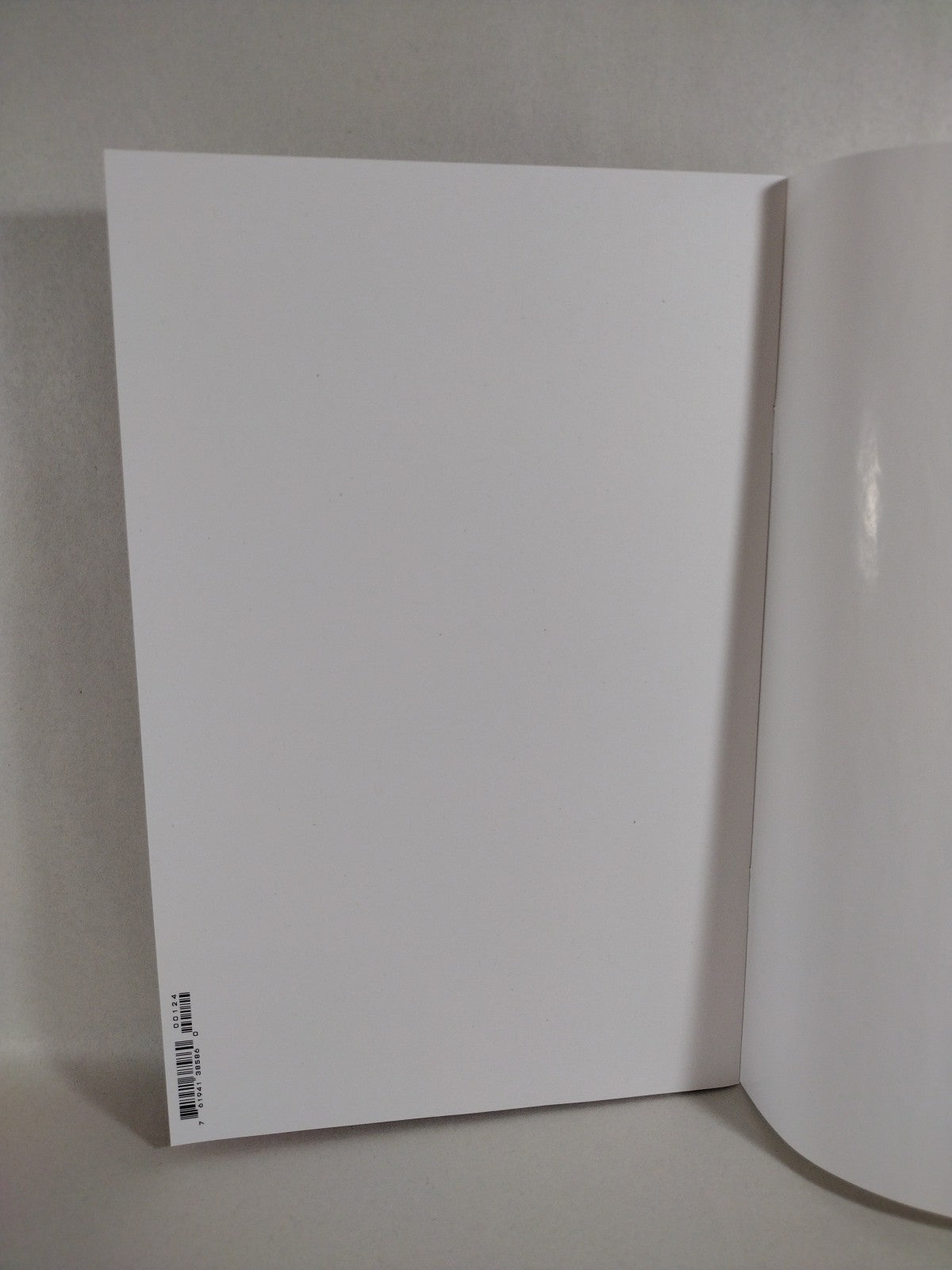 Absolute Wonder Woman #1 (2024) DC Comic Blank Sketch Variant Cover