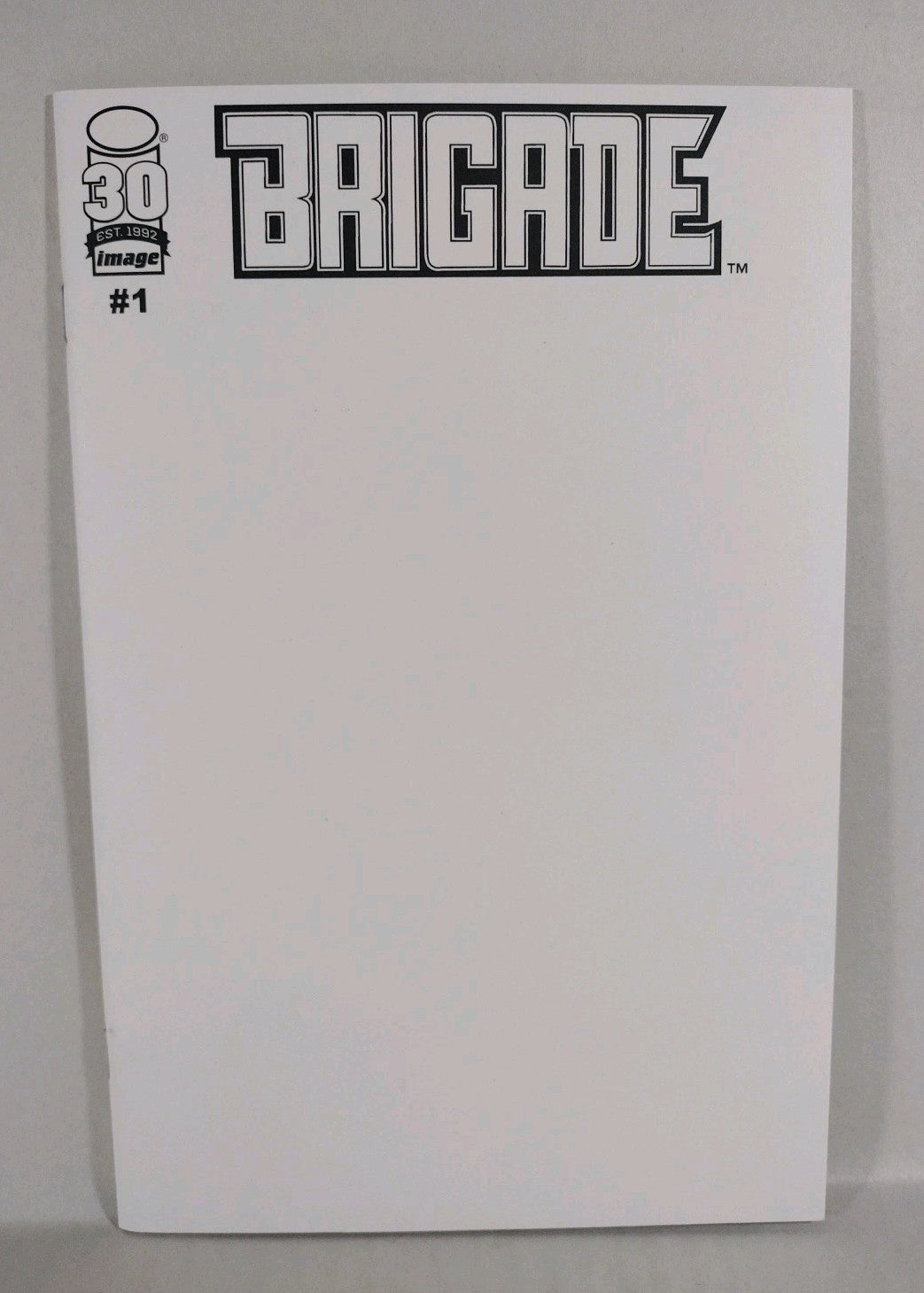 Brigade Remastered #1 (2022) Image Comic Blank Sketch Variant Cover New NM
