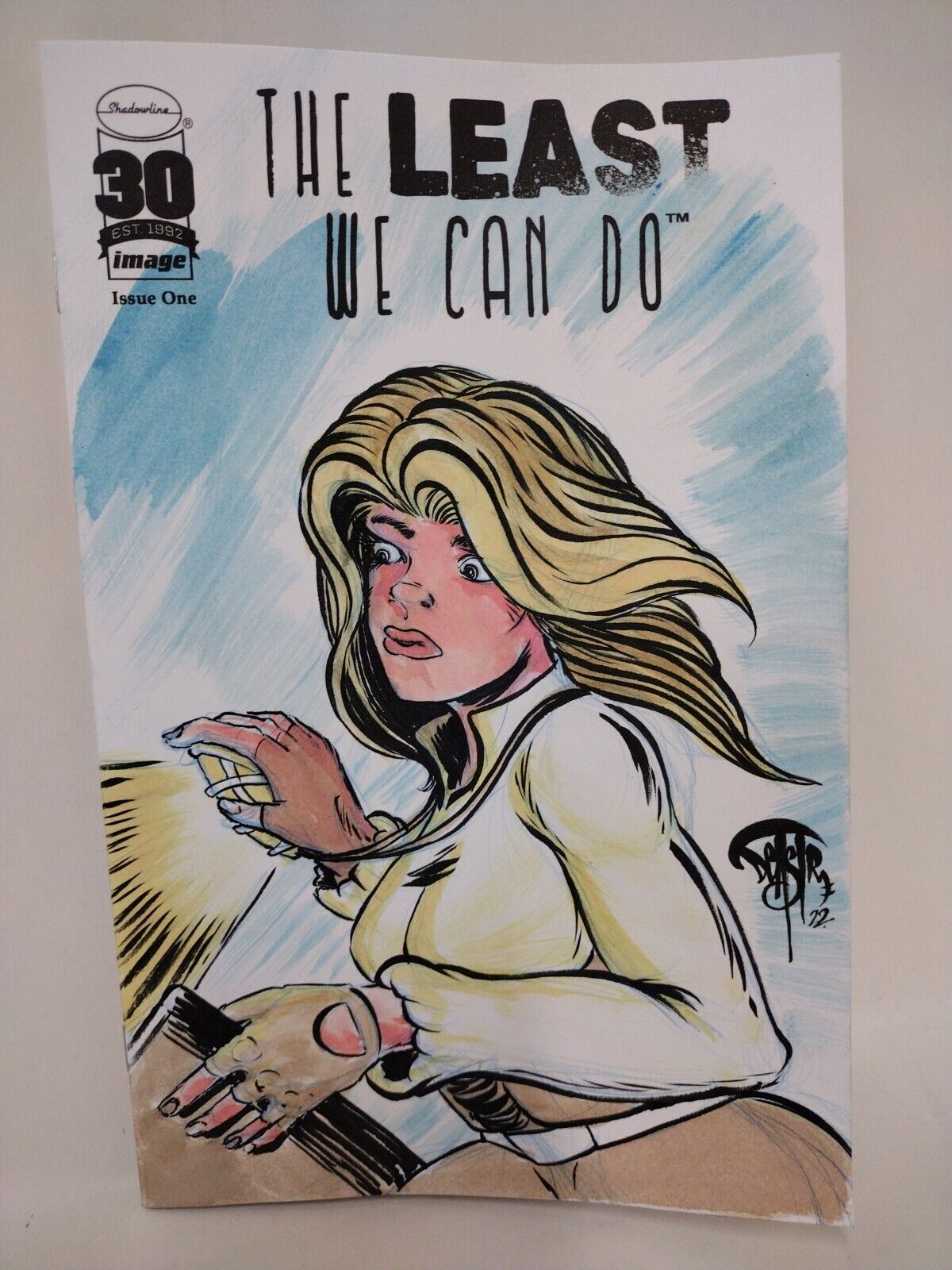 The Least We Can Do #1 (2022) Image Comic Blank Cover w Original DCastr Art COA