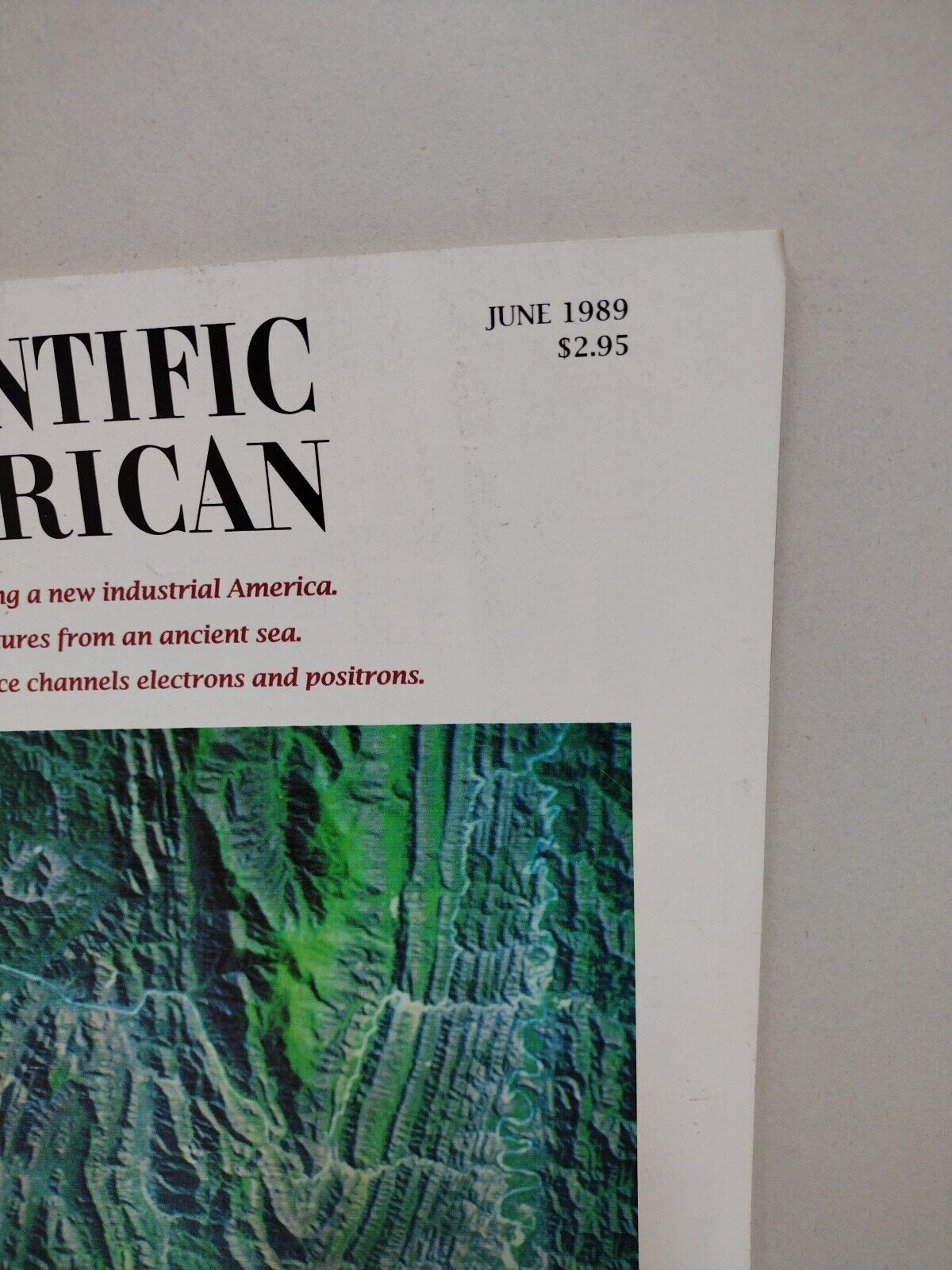 Scientific American #6 (Jun 1989) Found Fossils Crystal Lattice Channels VG