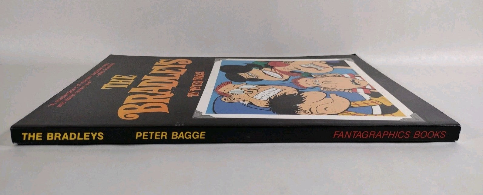 Bradley's The (1989) Peter Bagge Fantagraphics 1st TPB 