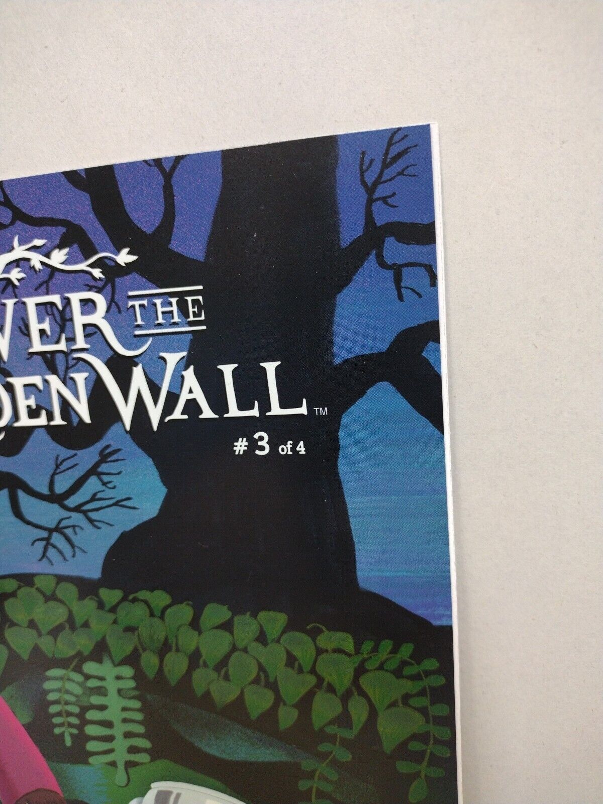 Over the Garden Wall 3 (2015) Boom Studios Comic Subscription Variant Pat McHale