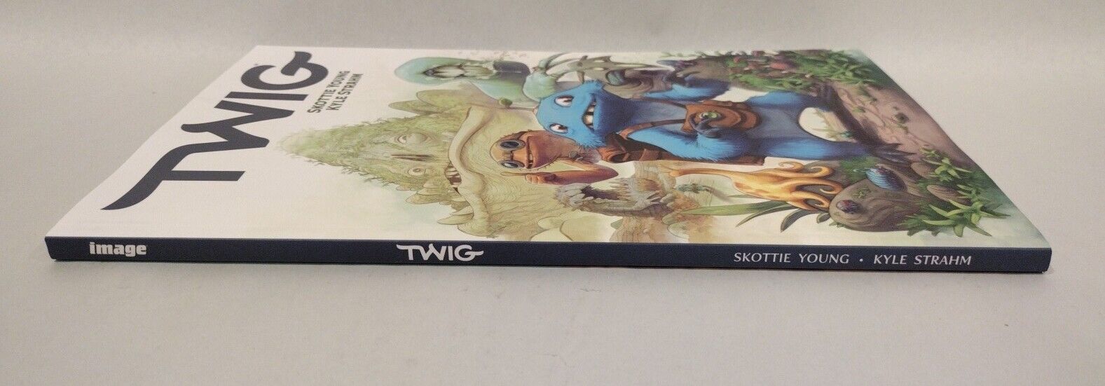 Twig (2022) Image Comics TPB SC Skottie Young Kyle Strahm New 