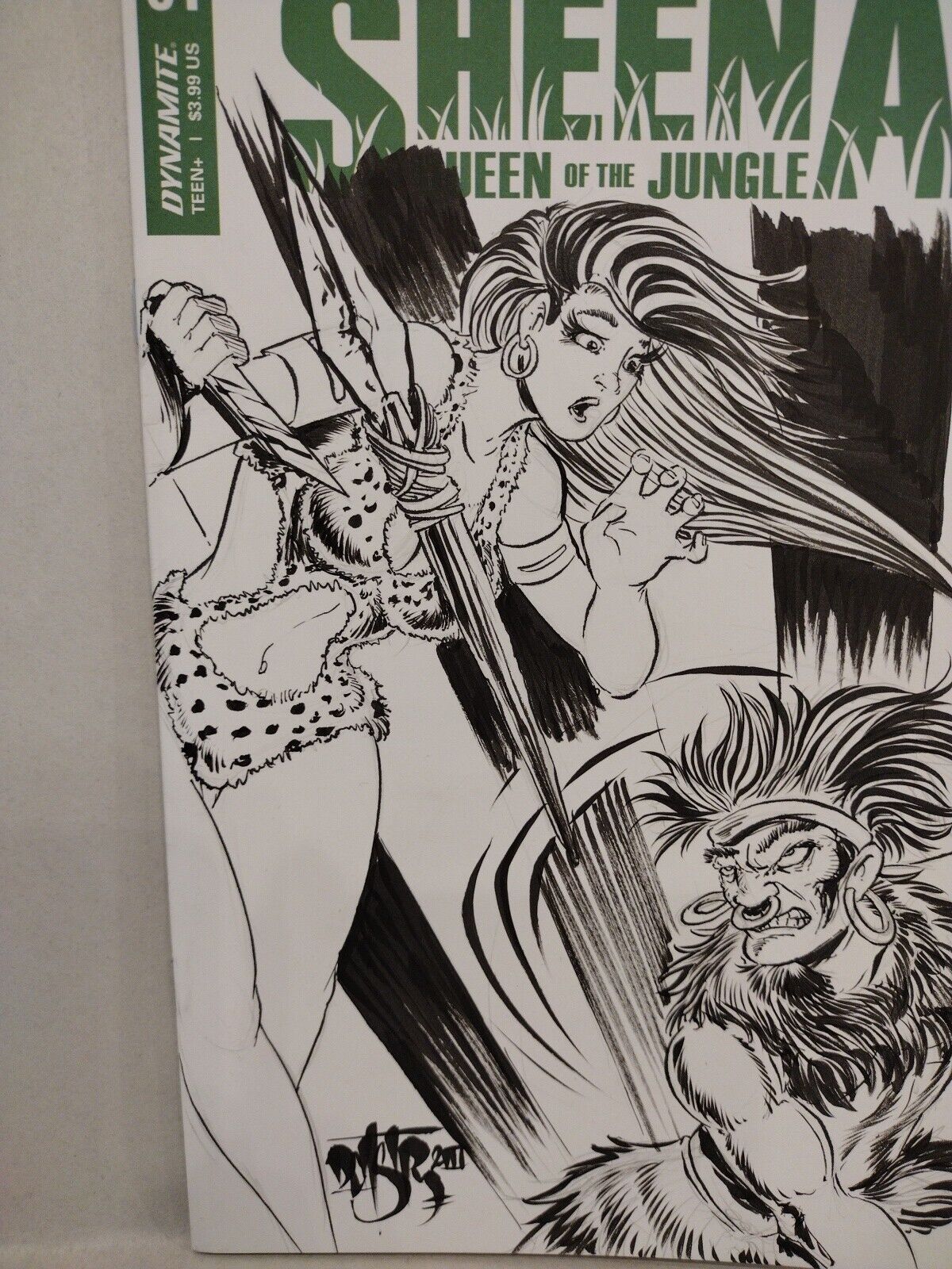 Sheena Queen of The Jungle #1 (2021) Blank Cover Comic w Original DCastr Art