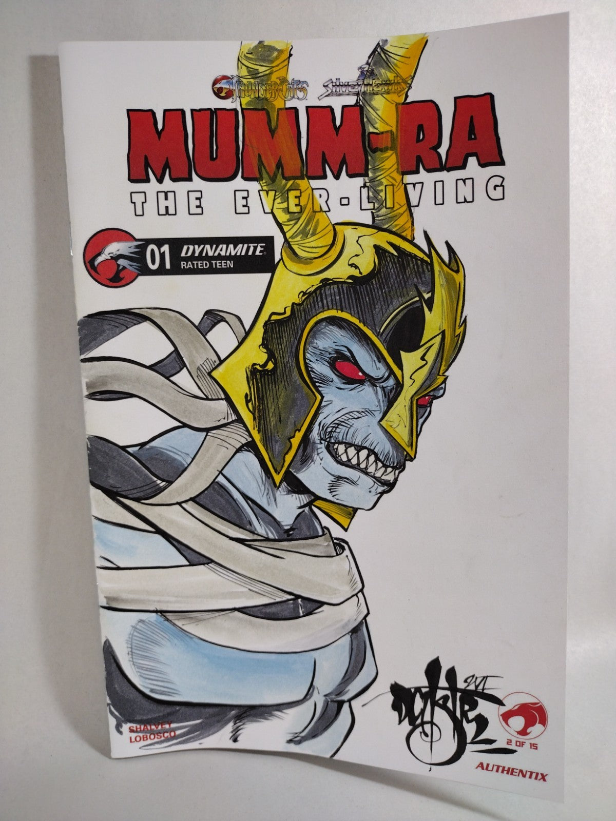 Mumm-Ra #1 (2026) Dynamite Sketch Cover Comic W Original DCastr Art