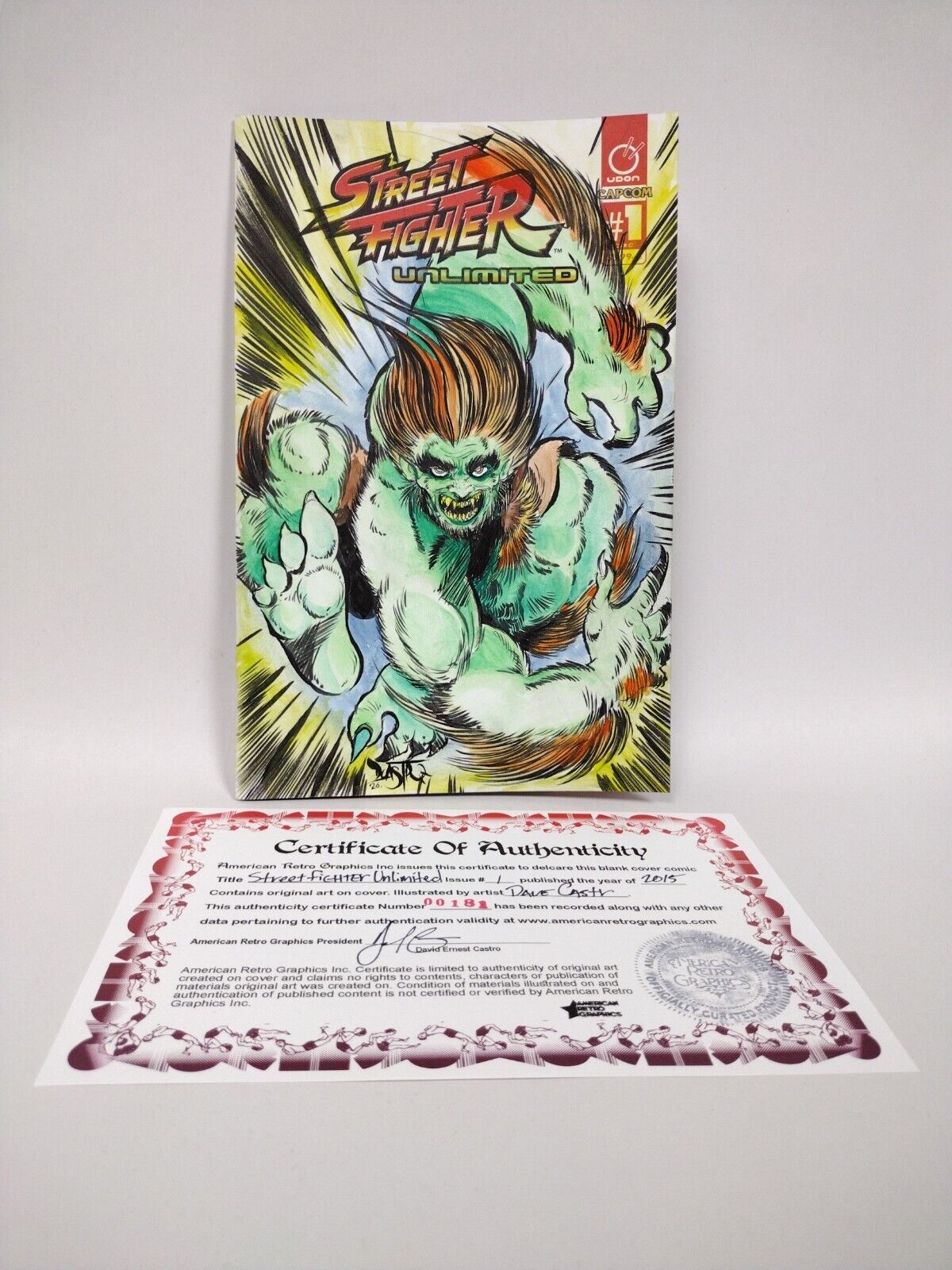 Street Fighter Unlimited #1 Blank Variant Comic W Original DCastr Blanka Art COA