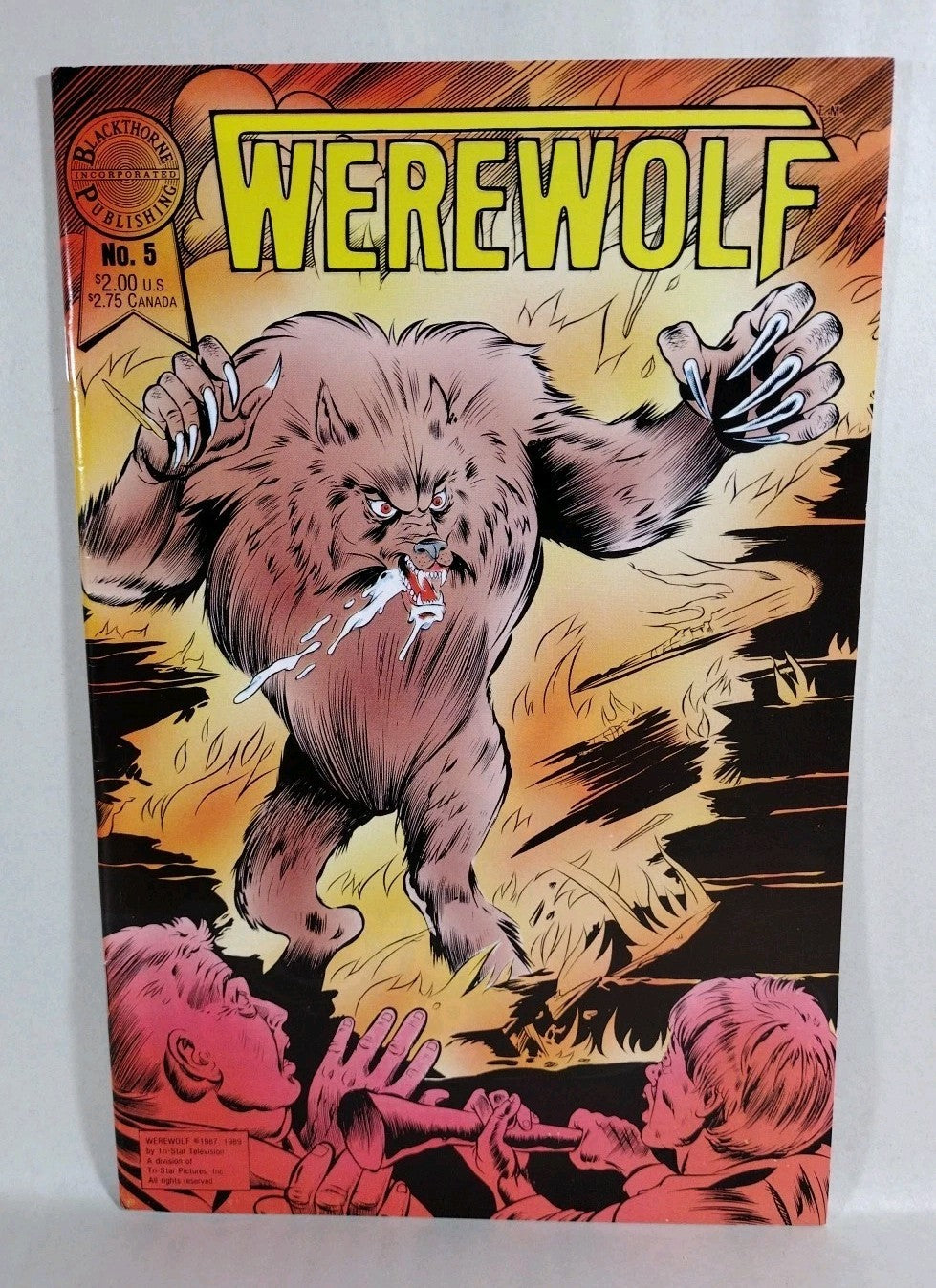 WEREWOLF #1 (1988) BLACKTHORNE COMIC ERIC CORD TV ADAPTATION VF