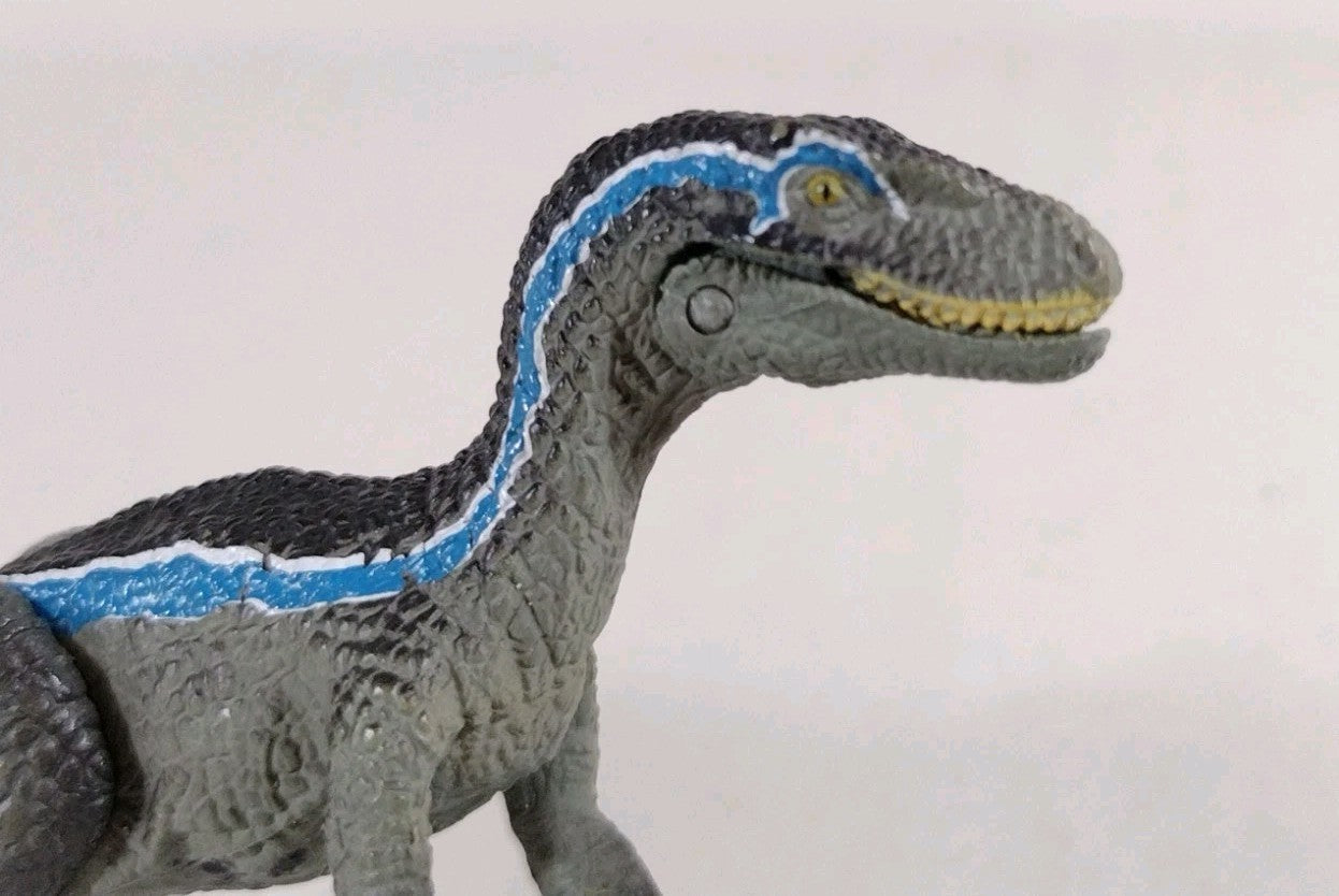 Takara Tomy Ania Jurassic World Blue Snow Ver Dinosaur Toy Japan Exclusive Loose