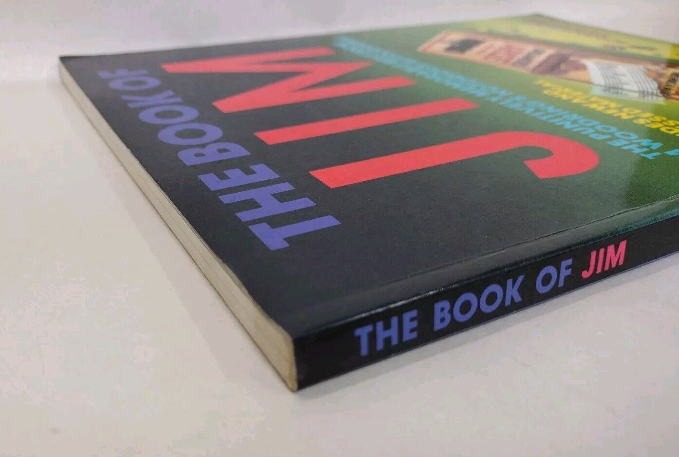 The Book of Jim (1993) Fantagraphics SC Artbook Jim Woodring Surrealism