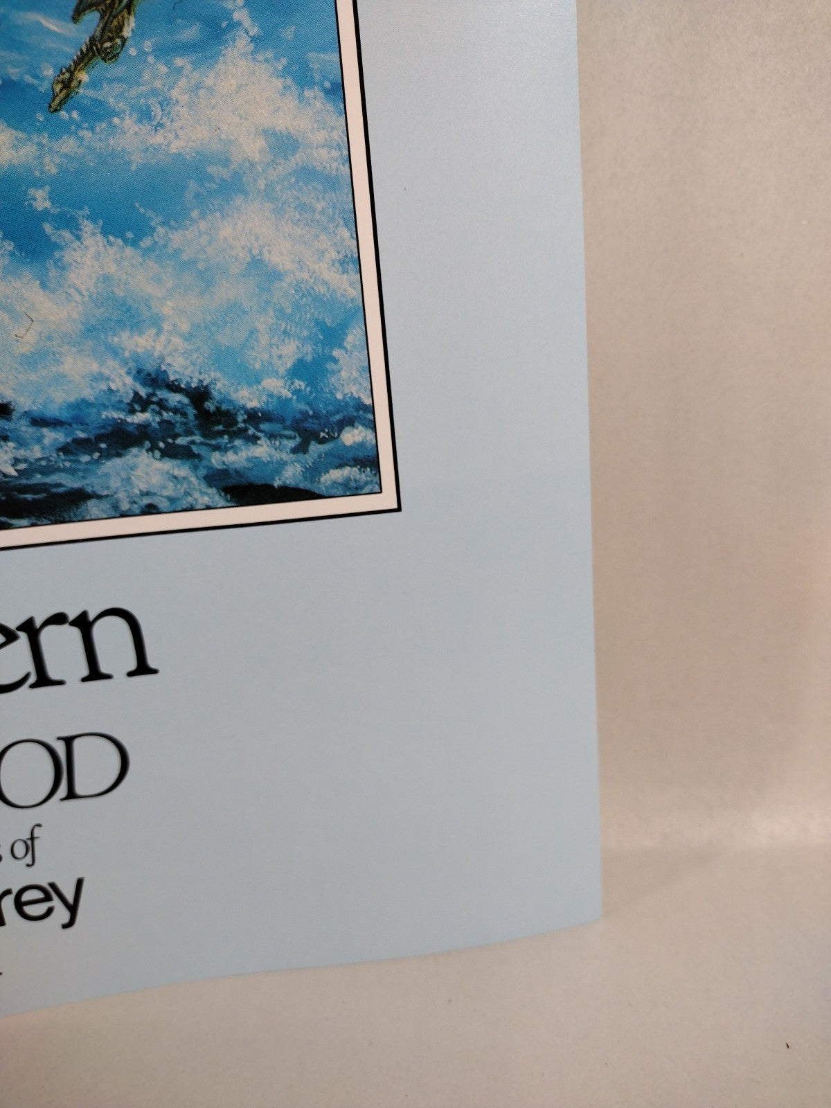 The People of Pern Robin Wood Anne McCaffrey 14x20" Promotional Poster