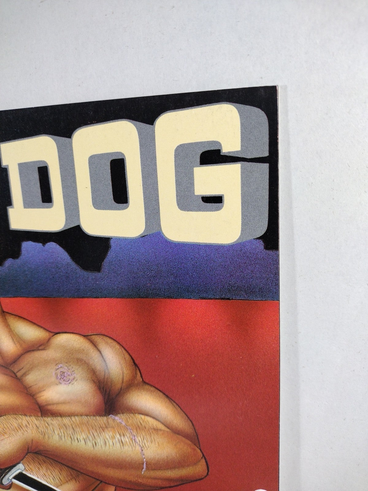 Dog #1 (1991) Rebel Studios Comic Joe Vigil Outlaw 1st Print VF