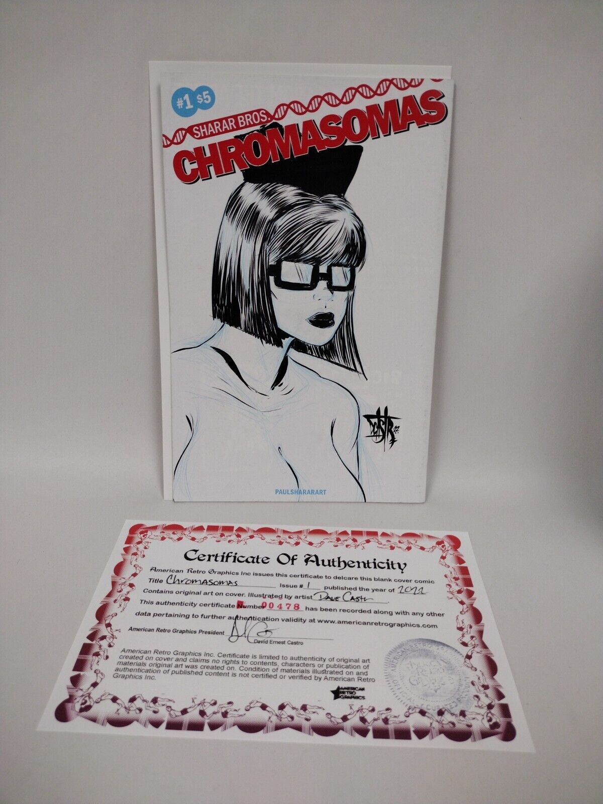 CHROMASOMAS #1 Blank Cover Variant Original DCastr Art COA