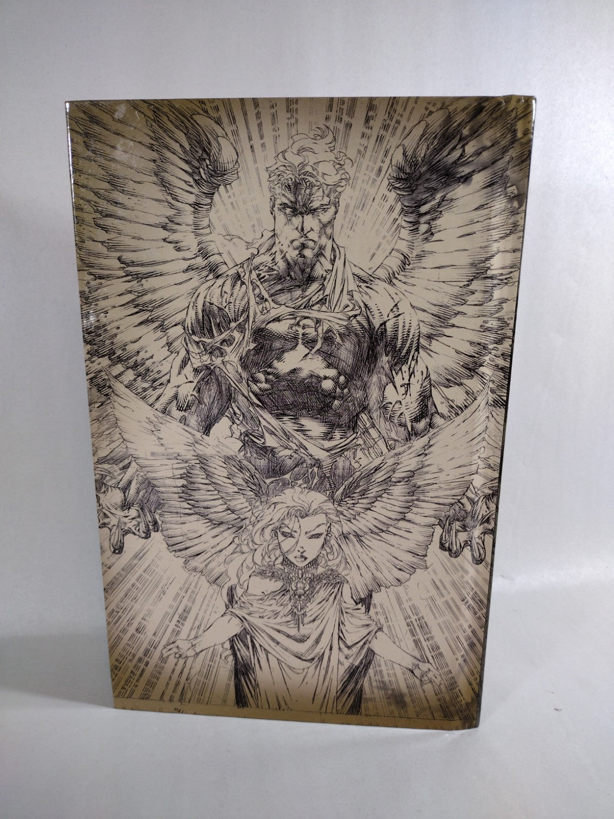 Ascension (1997-1999) Image Top Cow Custom Bound Comic Collection HC Dave Finch