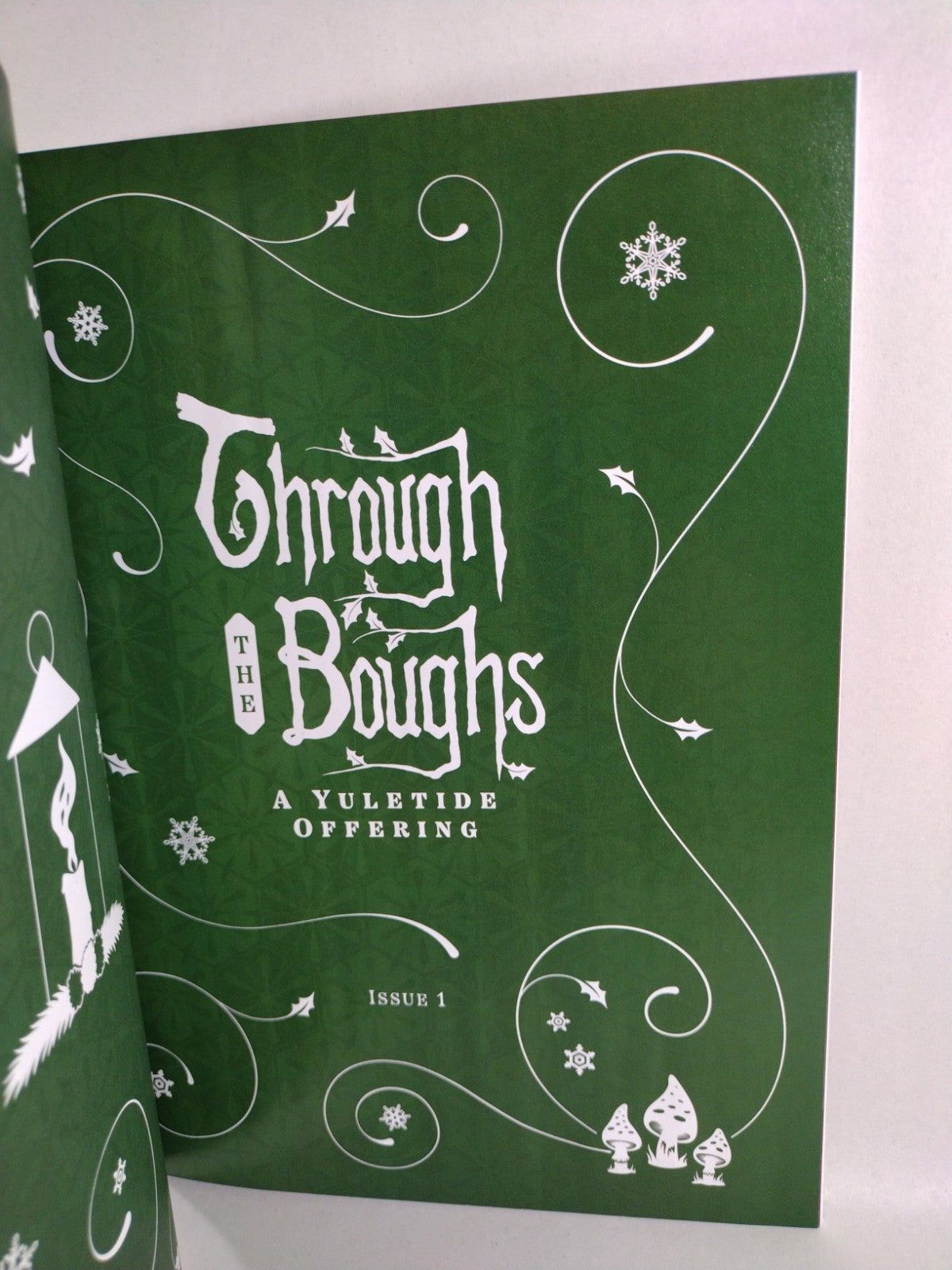 Through The Boughs #1 (2024) DSTLRY Blank Sketch Variant Cover New NM