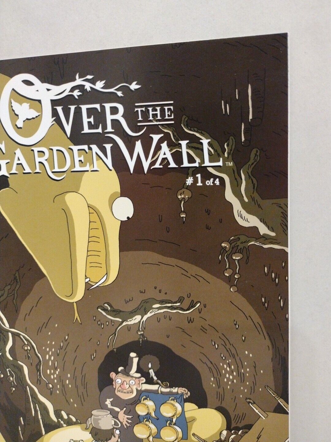 Over the Garden Wall 1 (2015) Boom Studios Comic Subscription Variant Pat McHale