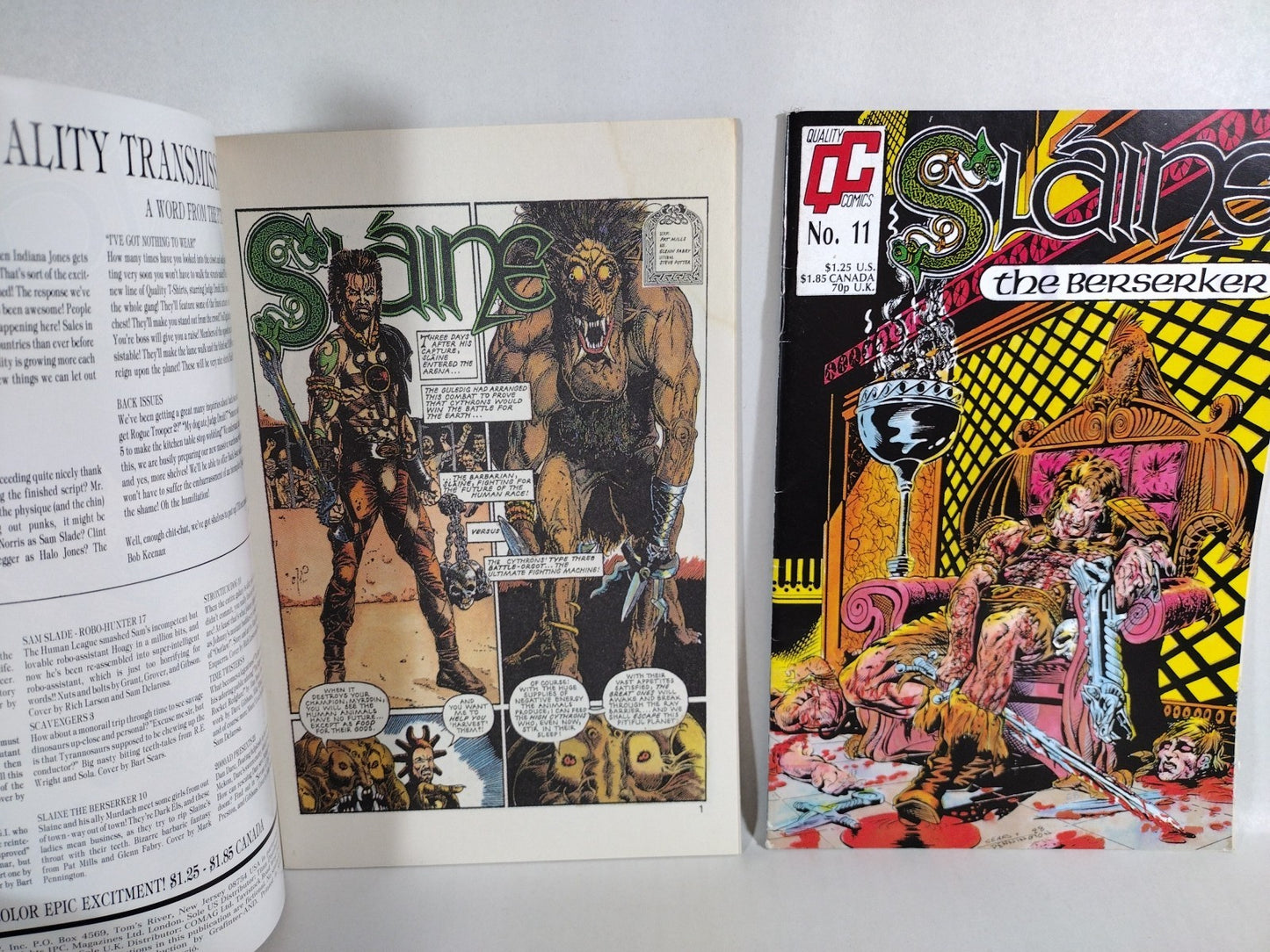 Slaine The Berserker (1988) Quality Comics Lot #10 11 12 13 21 22 23 24 2000ad 
