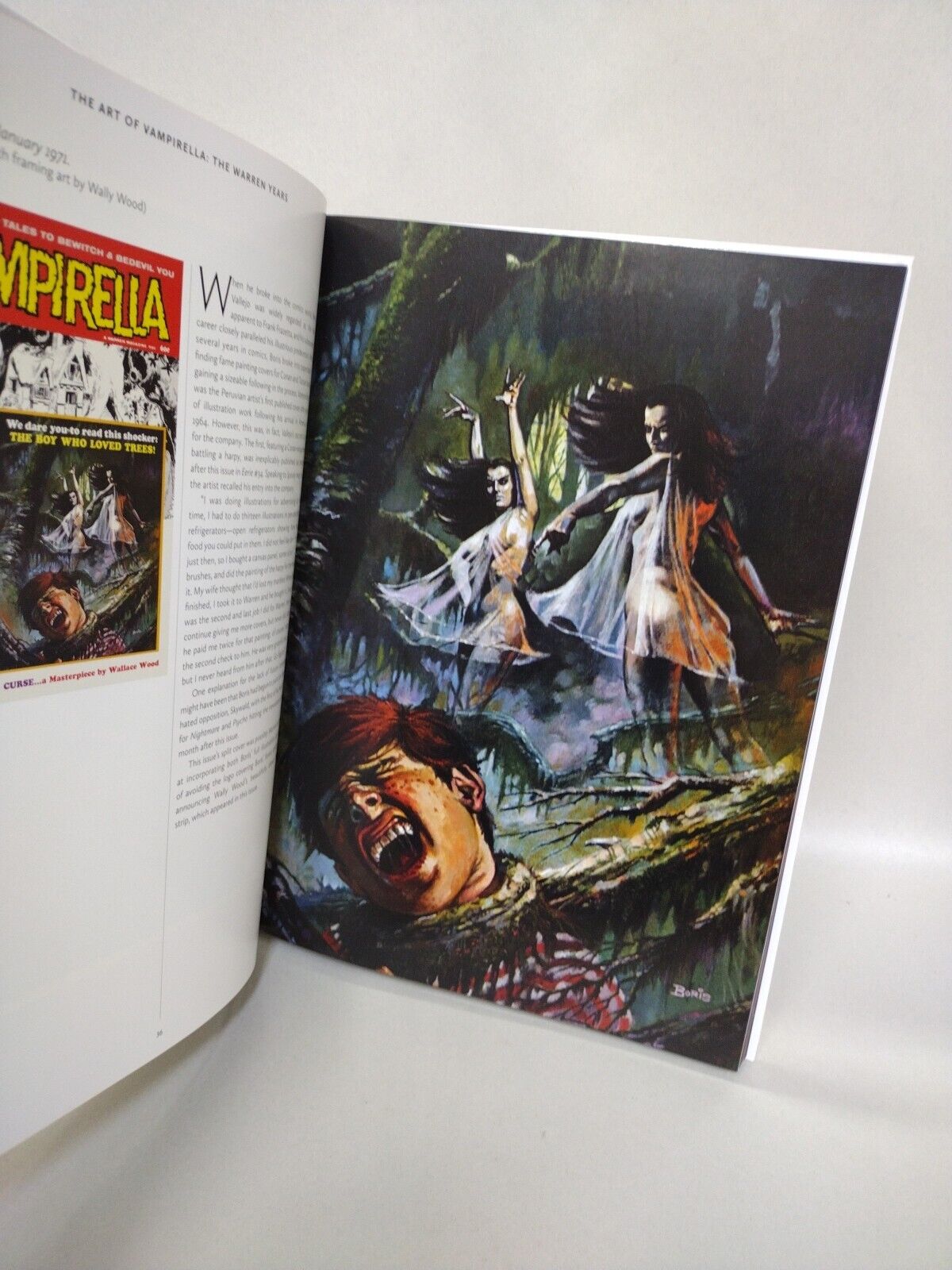 Art Of Vampirella The Warren Years Hardcover (2015) Dynamite Entertainment New