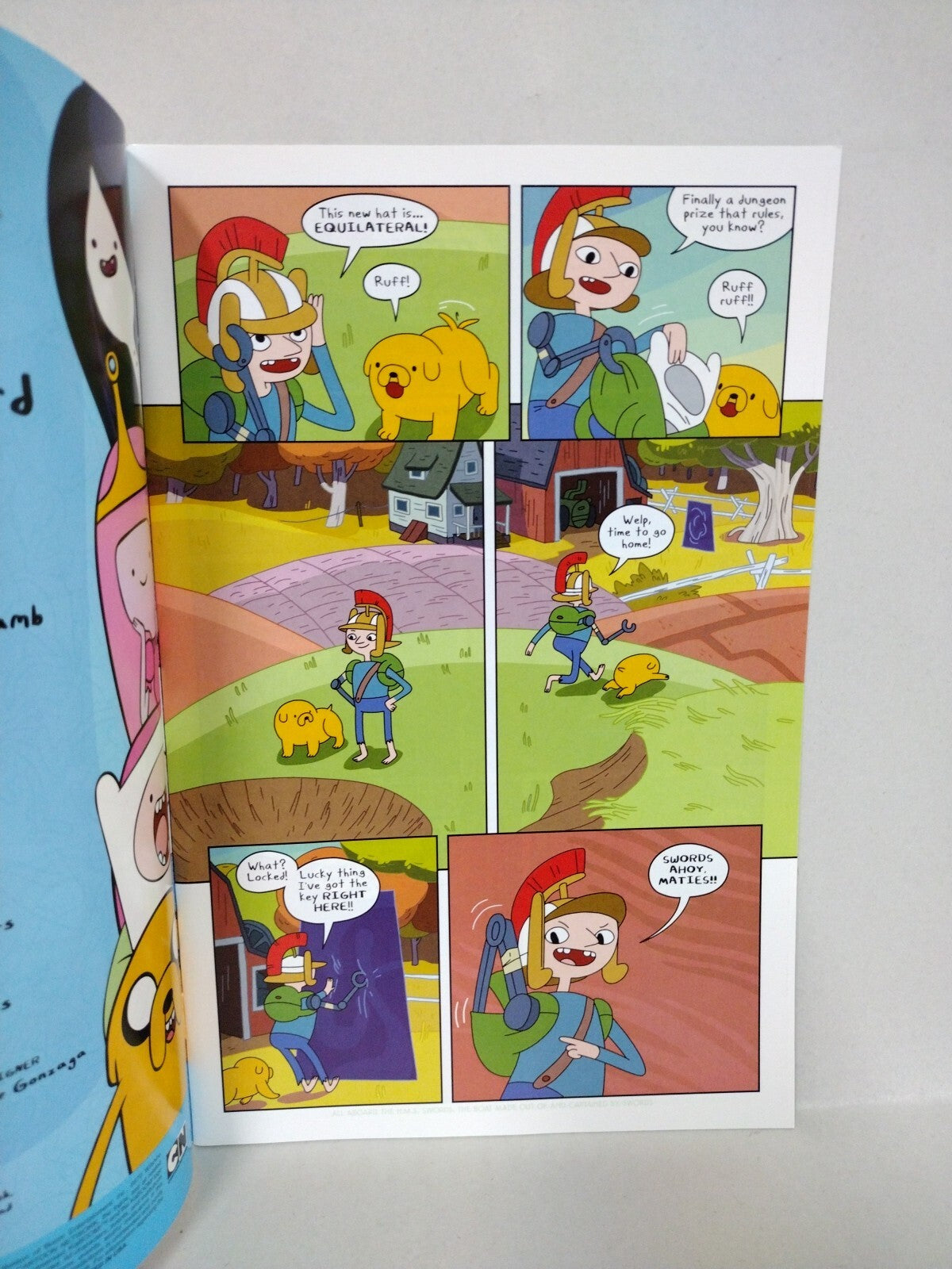 Adventure Time #19 (2013) Boom Studios Comic Variant Cover D Chris Visions NM