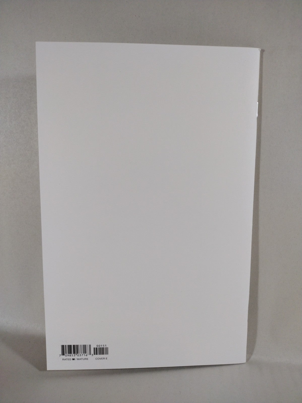 Ambassadors #1 (2022) Image Comic Blank Sketch Variant Cover NM