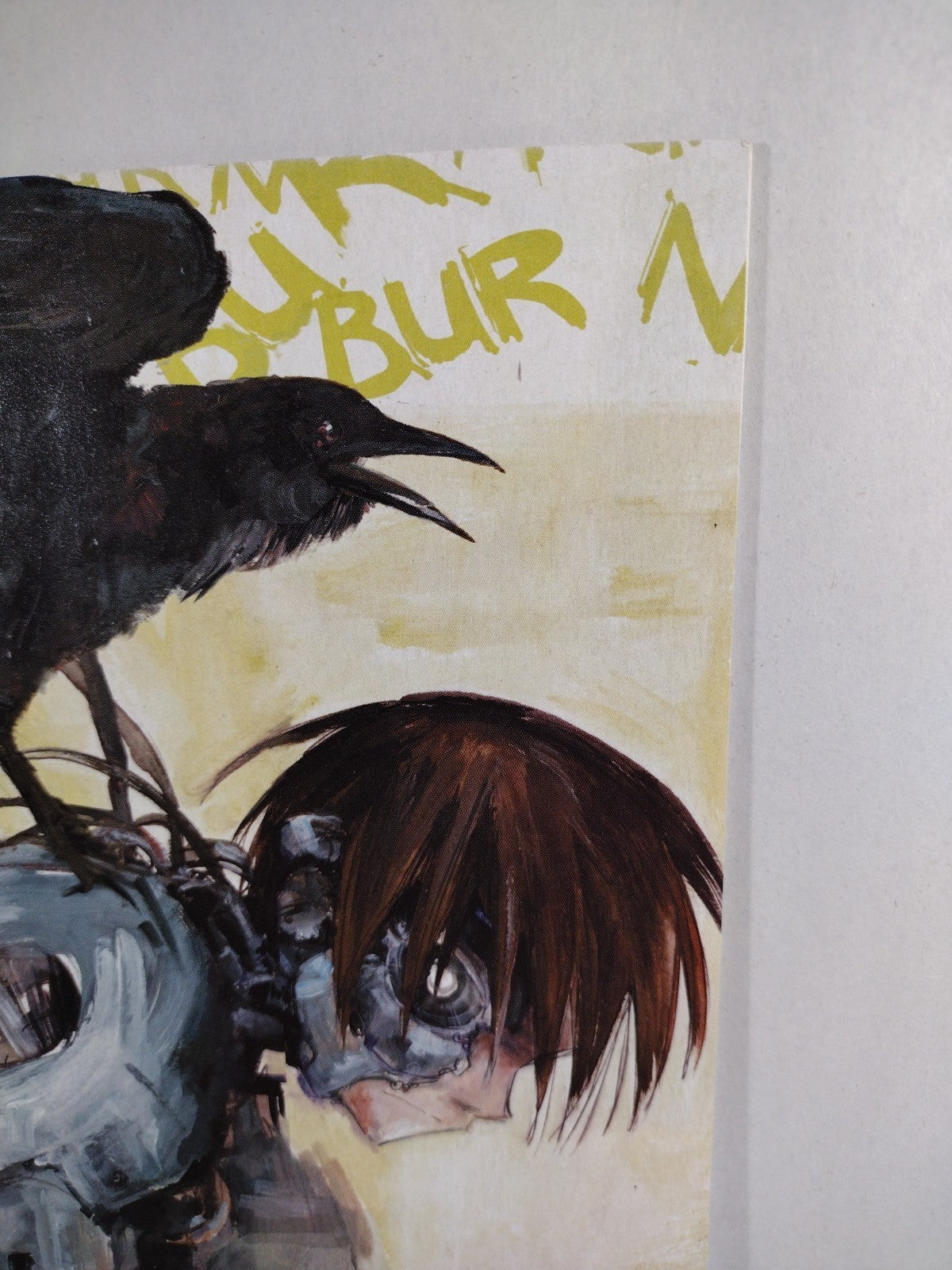 Burn #1 (2008) Camilla D' Errico Arcana Comic Variant Blank Sketch Flip Cover 