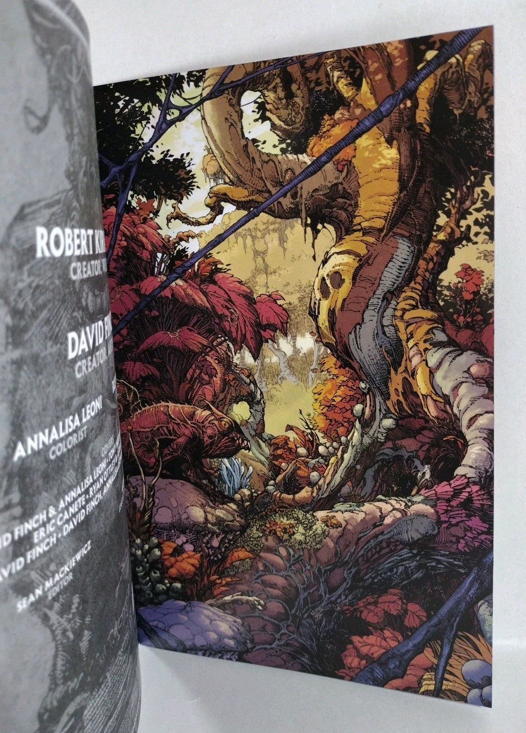 Skinbreaker #1 (2025) Image Sketch Variant Cover Comic W Original DCastr Art