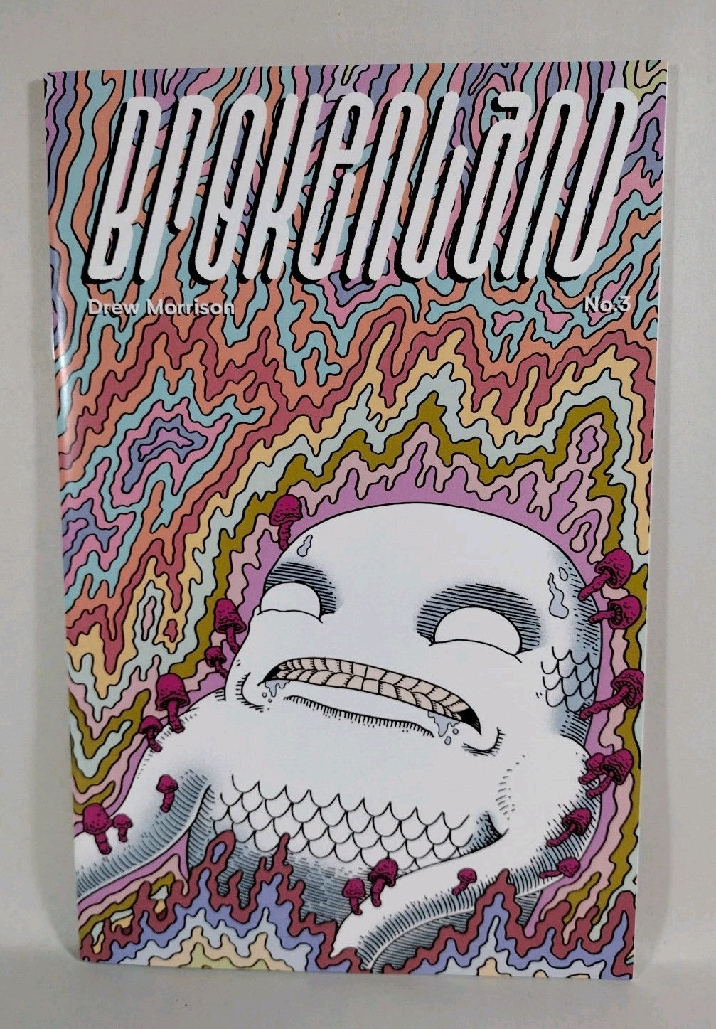 Brokenland (2019) Drew Morrison Comic Lot Set 1 2 3 Meeso VF-NM