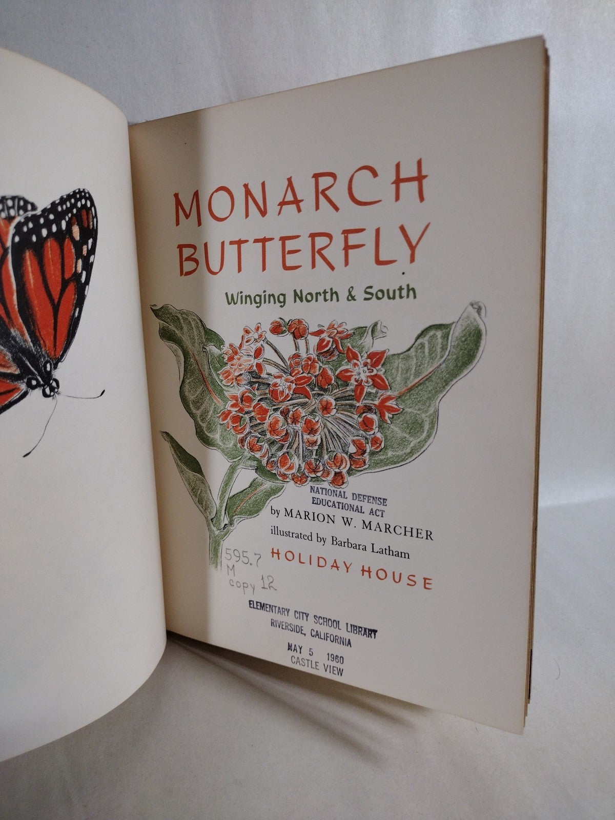 Monarch Butterfly 1960 Discarded Library Book W Original Dave Castr Color Art