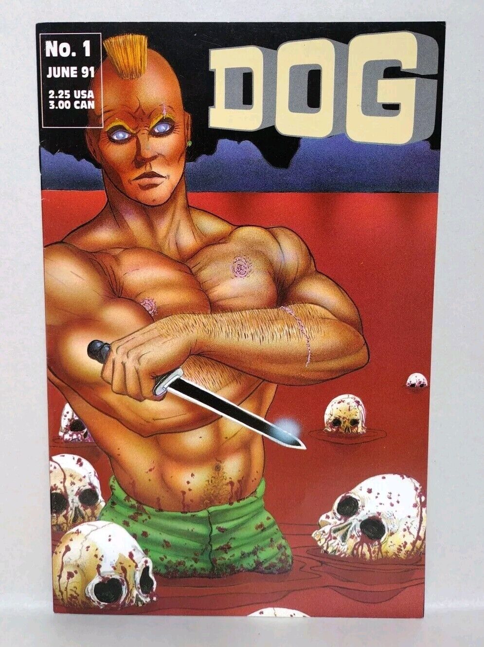 Dog #1 (1991) Rebel Studios Comic Joe Vigil Outlaw 1st Print VF