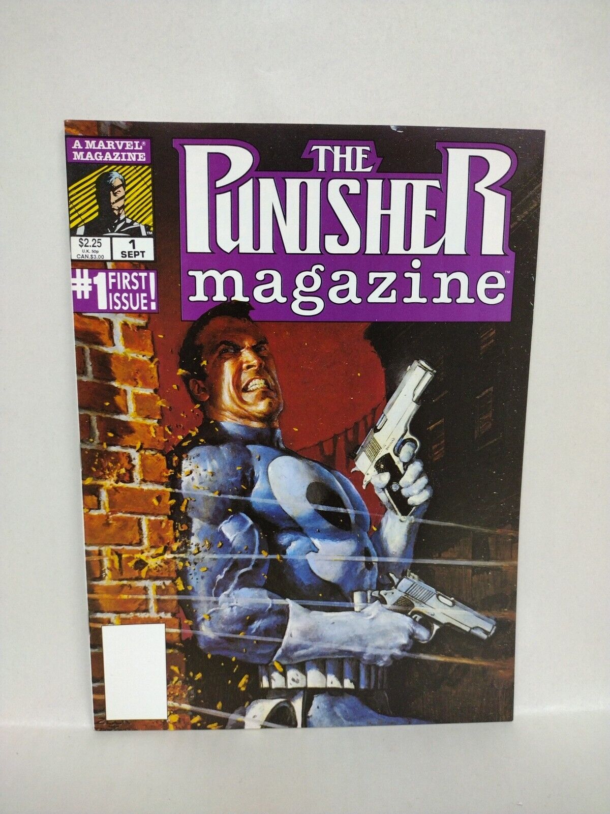 PUNISHER Magazine (1989) Marvel Comics Lot Set #1 2 Mike Zeck Steve Grant NM