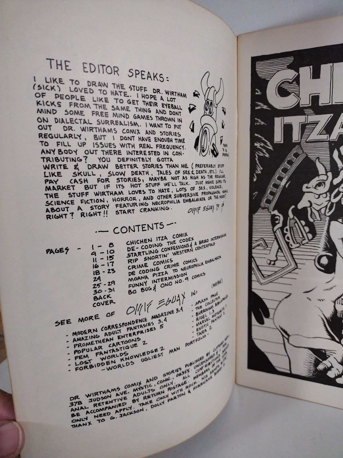 DR. WIRTHAM’S COMIX & STORIES #1 Underground Comic Oisif Eguax Issue