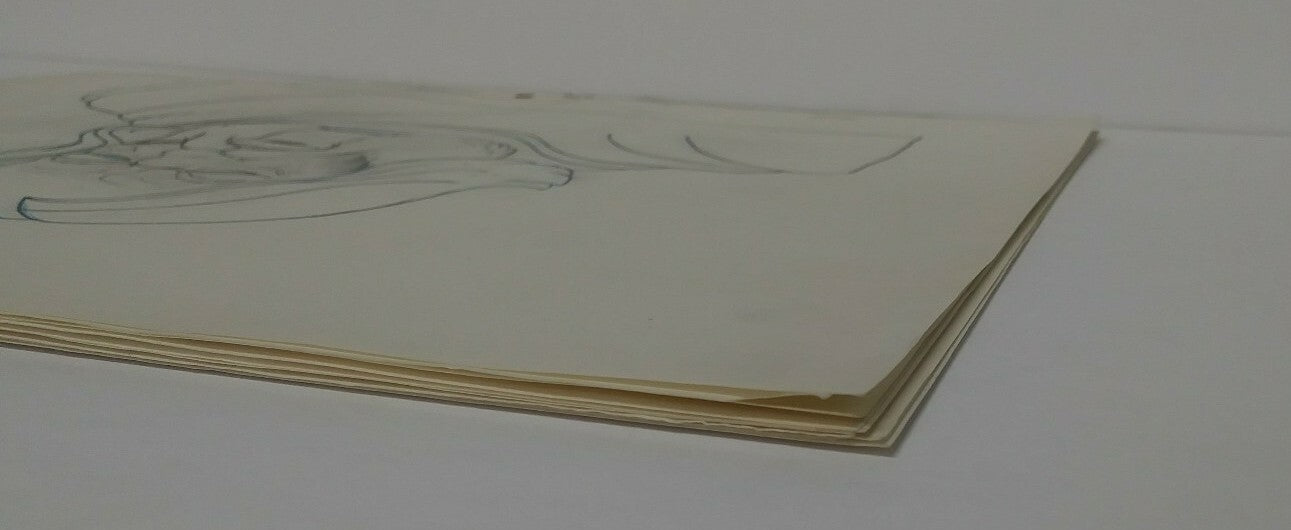 Lot Of 10 Original 1981 Heavy Metal Animation Pencil Art Prelims of Elder TAARNA