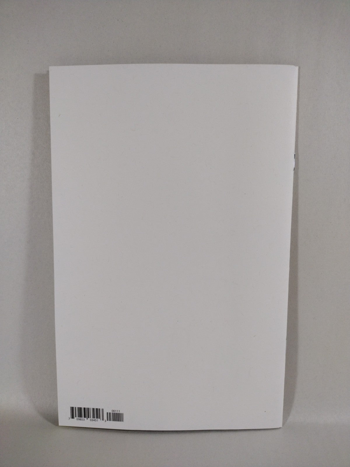 Spawn 30th Anniversary #1 (2022) Image Comic Blank Cover Variant New NM 