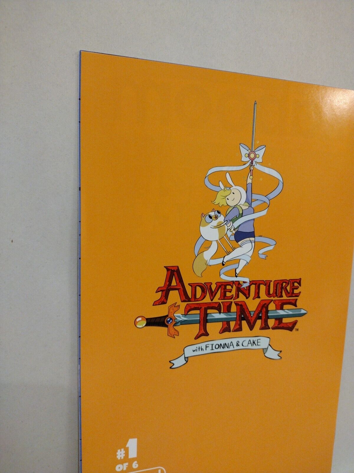 Adventure Time FIONNA & CAKE #1 (2013) Boom Studios Virgin Variant Cover D NM