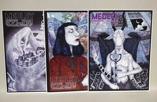 Medley Magazine Vol 1 2 3 (2012) MadBaumer Jeremy Baum Illustration Book Lot Set