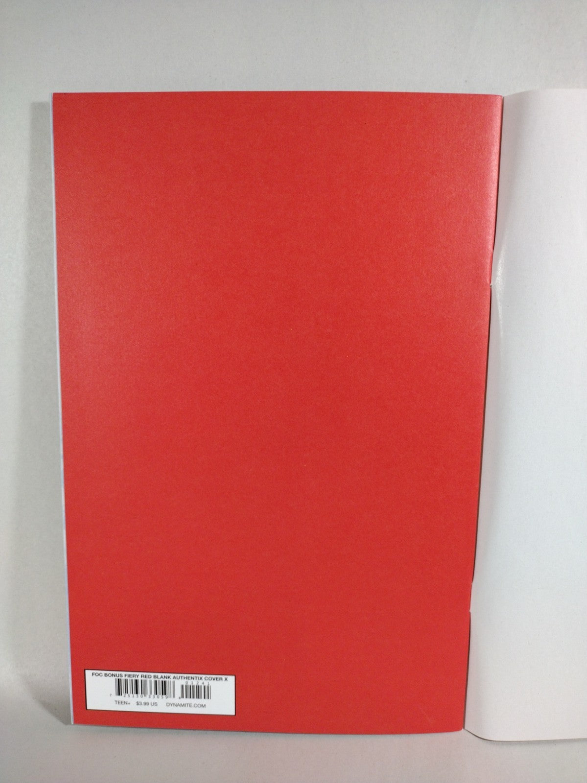 Fire And Ice #1 (2023) Red Blank Sketch Cover X Foc Variant New NM