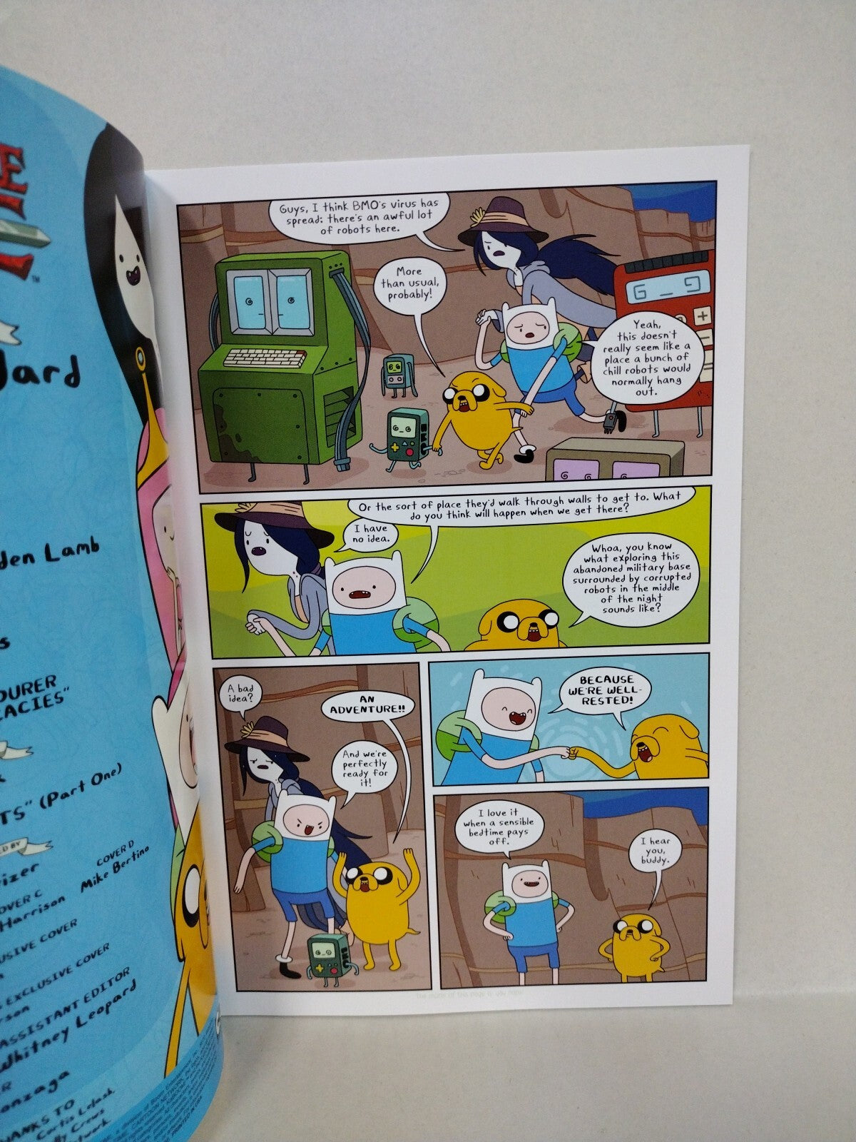 Adventure Time #13 (2013) Boom Comic Cover D Mike Bertino 1:20 Virgin Variant NM