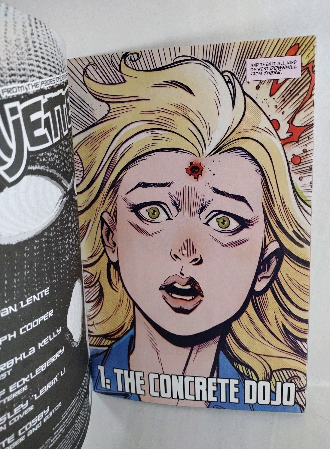 NINJETTES #1 (2022) Dynamite Blank Sketch Authentix Cover E Variant New 