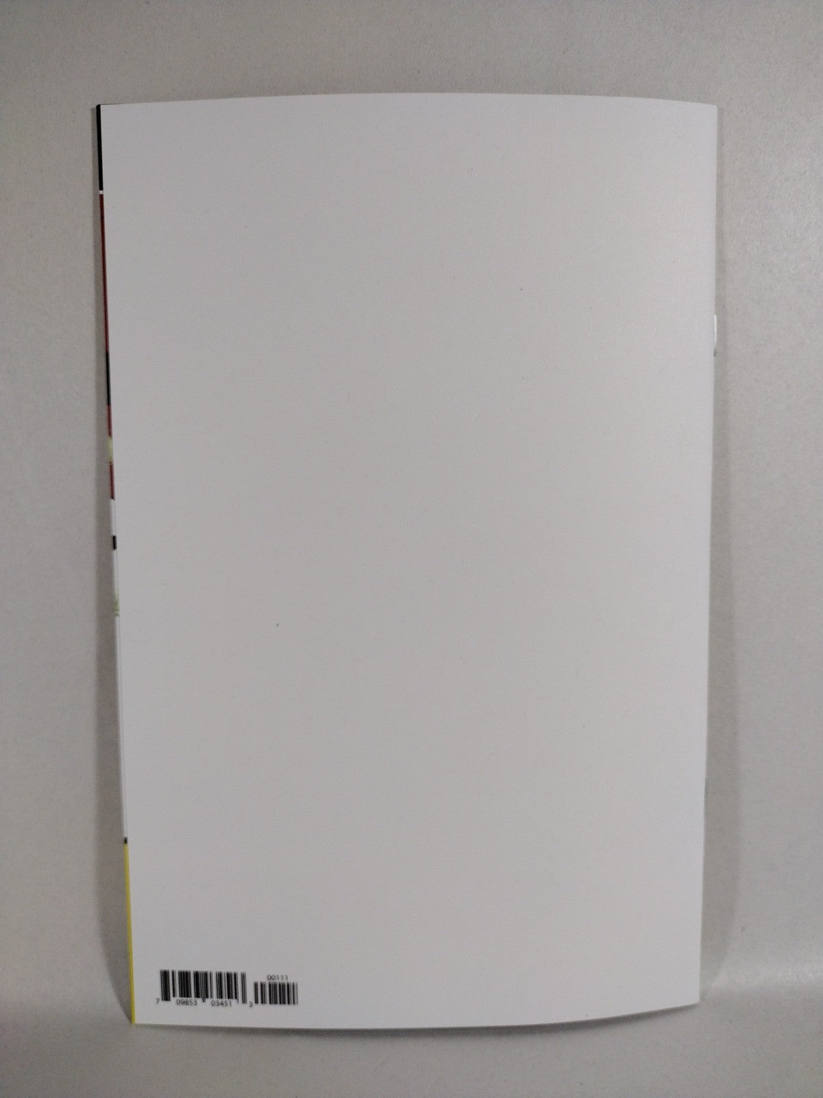 Spawn 30th Anniversary #1 (2022) Image Comic Blank Cover Variant New NM 