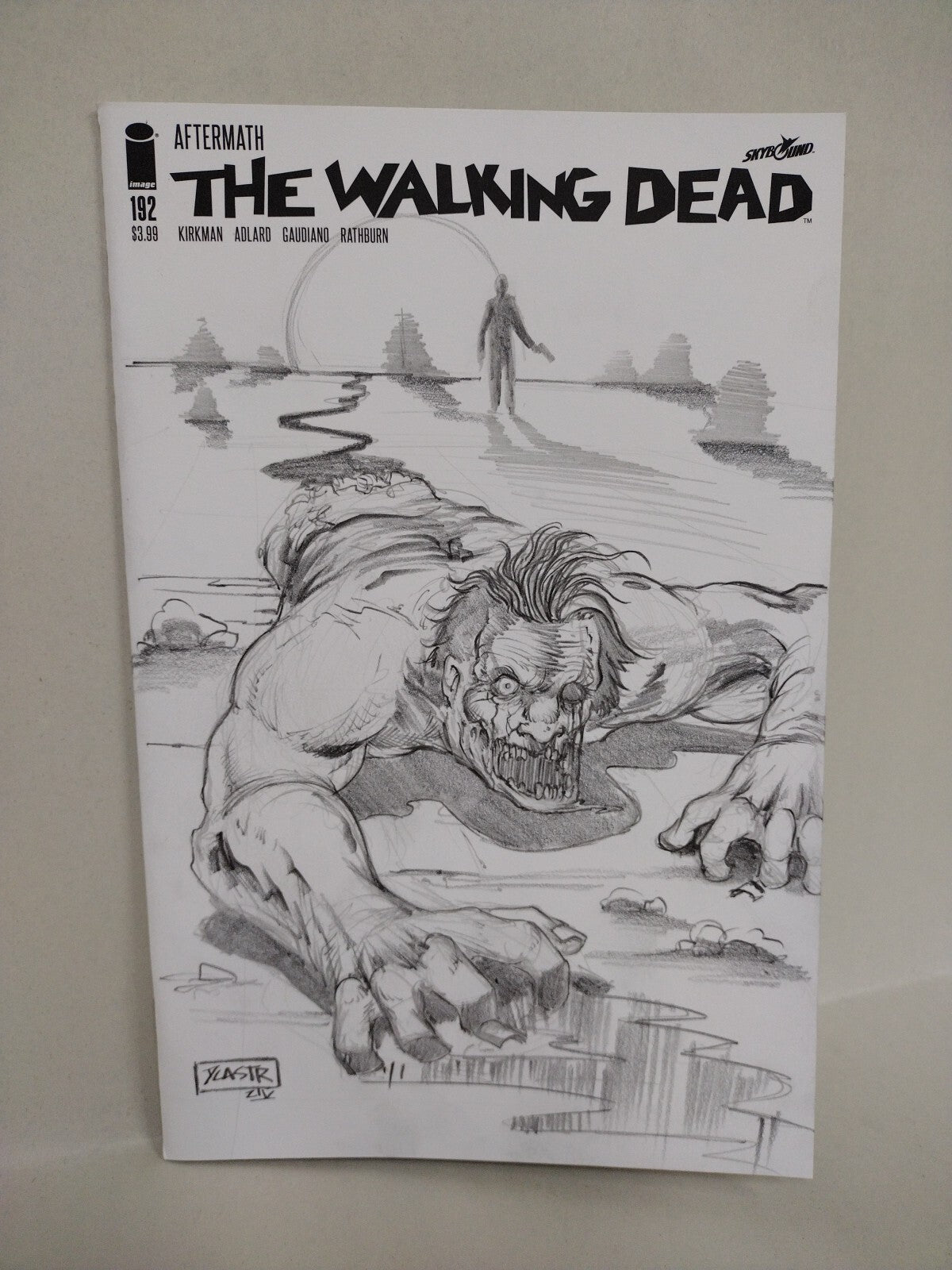 WALKING DEAD #192 (2019) Image Comic Sketch Cover w Original Dave Castr Art