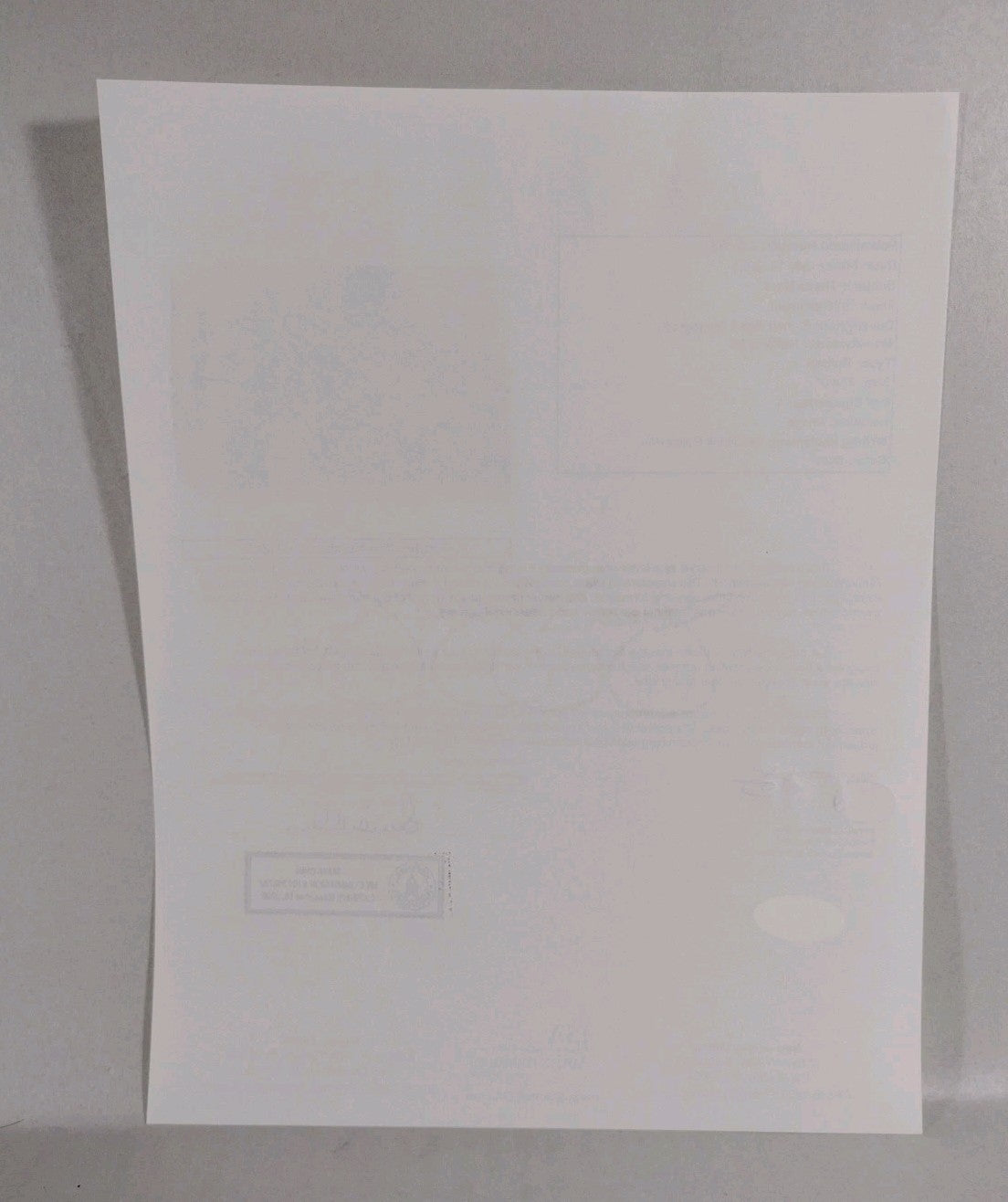 Theda Bara Vamp Silver Screen Actress 6 X 9" 1917 Sepia Photo Signed W JSA COA