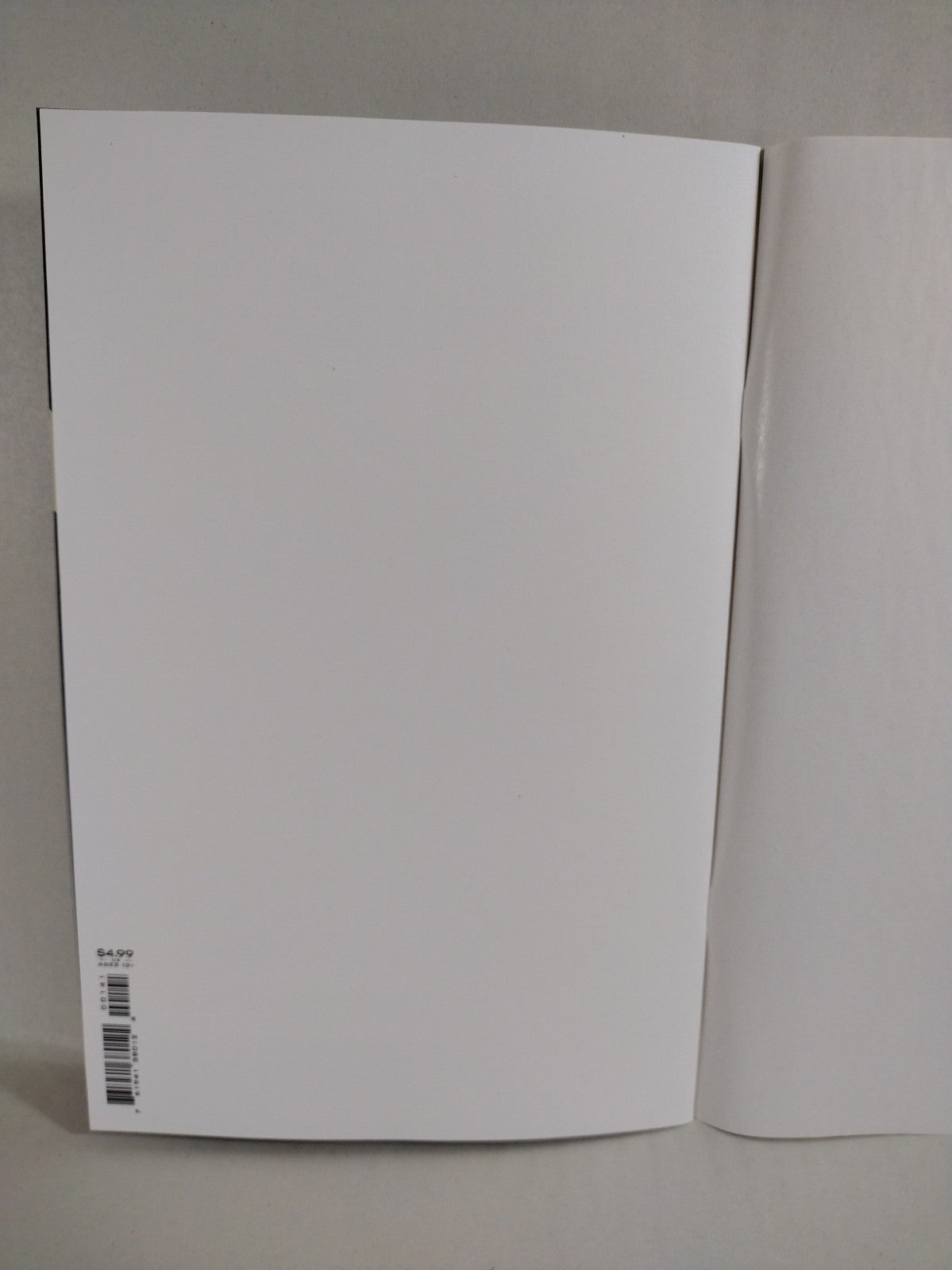 Birds Of Prey #1 (2023) DC Comics Blank Sketch Variant Cover Comic New NM