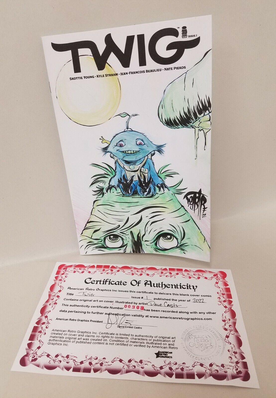 Twig #1 (2022) Blank Cover Variant W Original DCastr Watercolor Art ARG 303