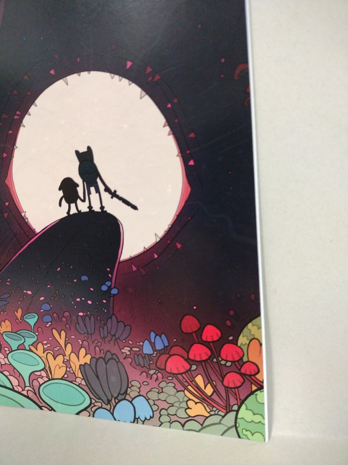 Adventure Time #17 (2013) Boom Comic Cover C Jemma Salume Virgin Variant VF-NM