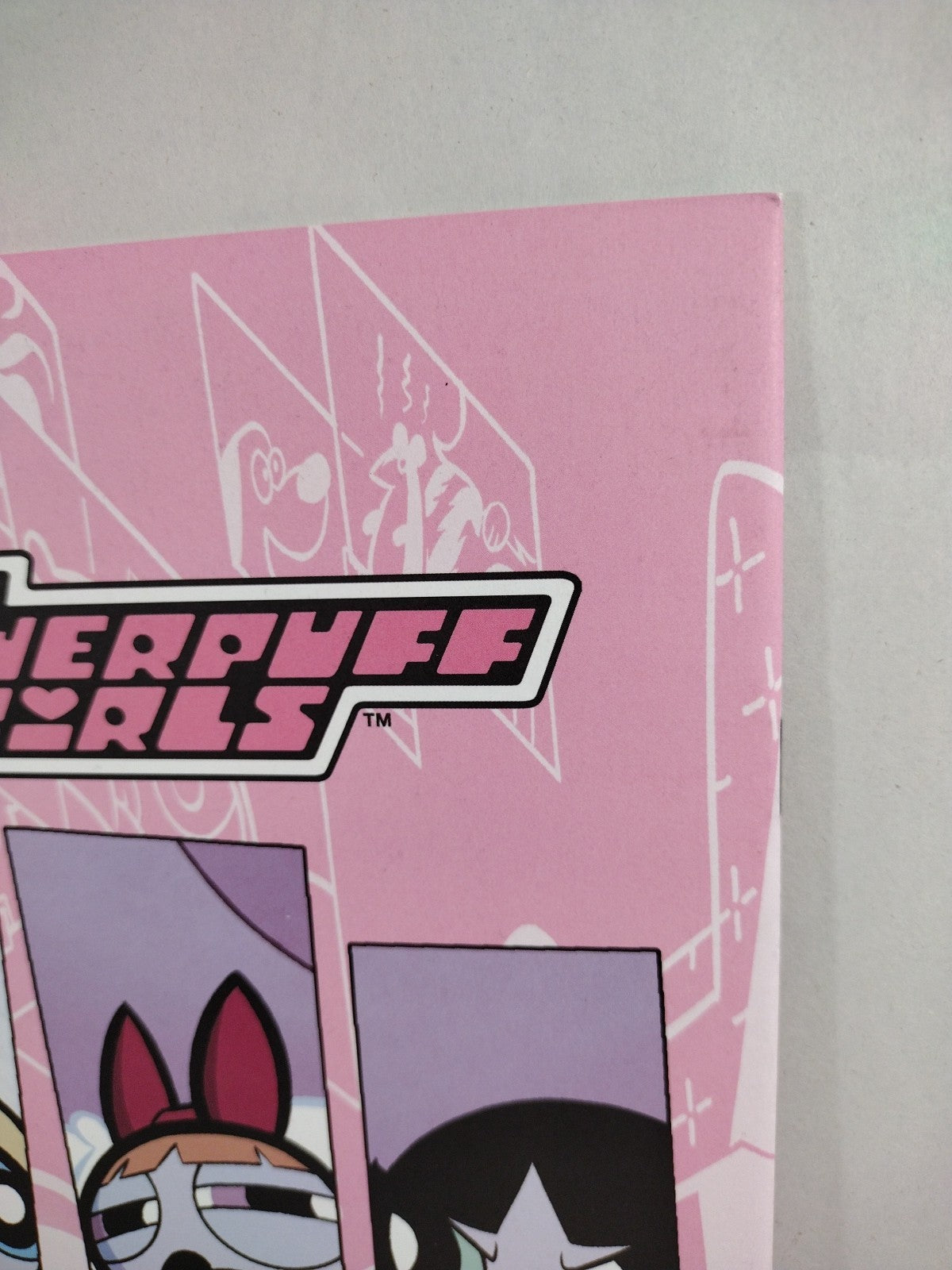 Powerpuff Girls #2 (2013) IDW Comic Blank Sketch Cover Variant VF-NM
