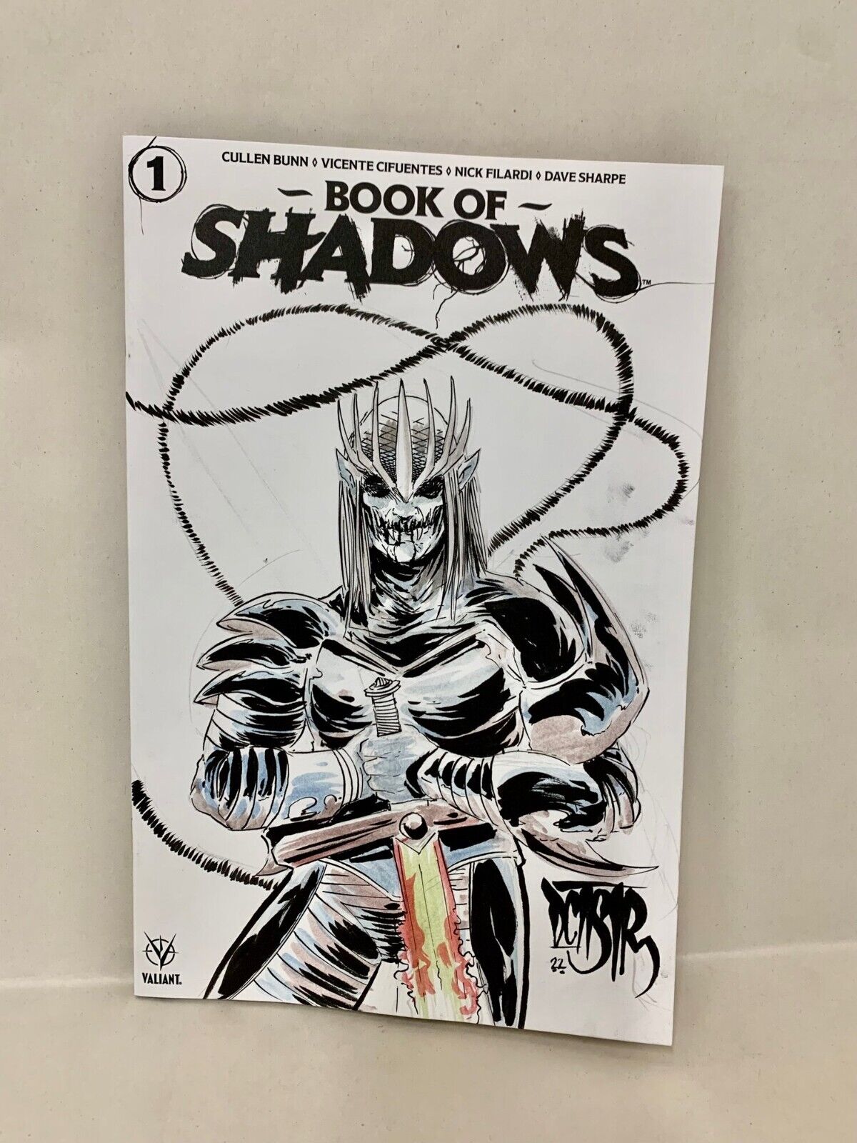 Book of Shadows #1 (2022) Blank Cover Valiant Comic w Original Dave Castr Art