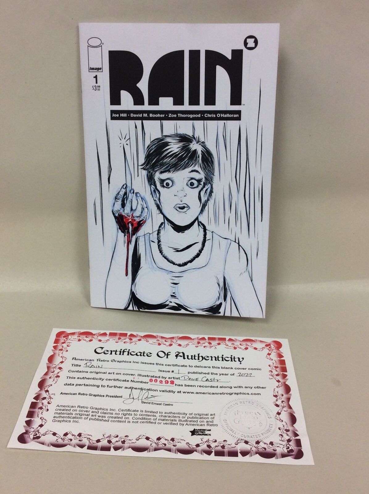 Rain #1 (2022) Blank Cover Variant Comic W Original Art DCastr COA 292