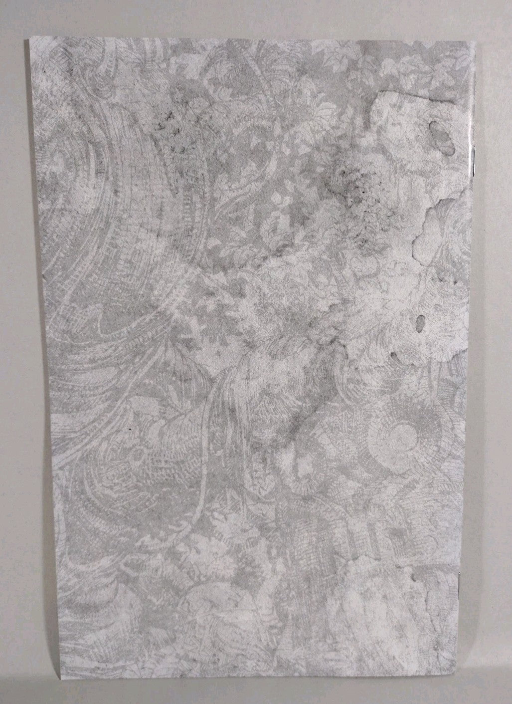 Skinbreaker #1 (2025) Image Comics Retailer Exclusive Preview Ashcan Dave Finch 